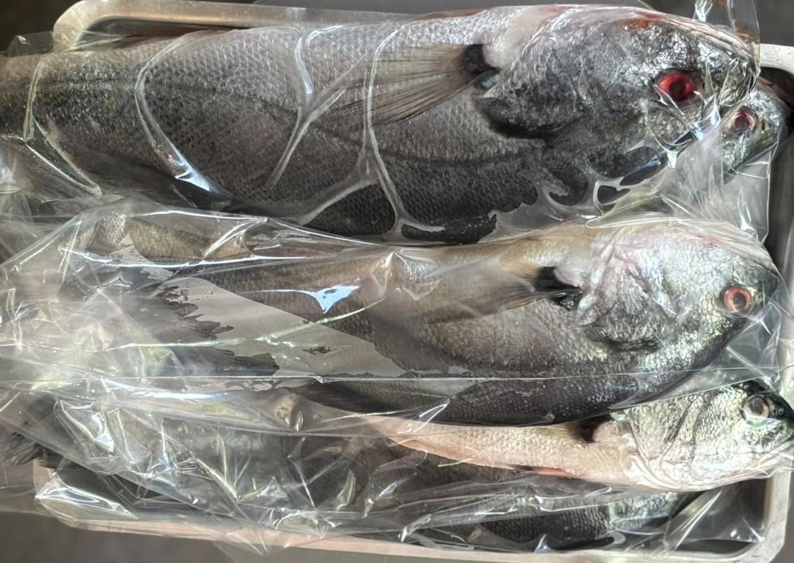 Foto de Pescada